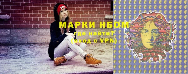 молекула духа Пестово