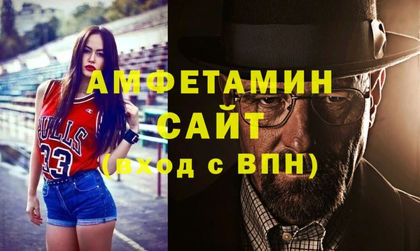 молекула духа Пестово