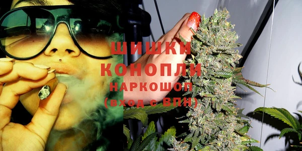 молекула духа Пестово