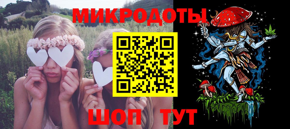 Псилоцибиновые грибы Psilocybe Соликамск