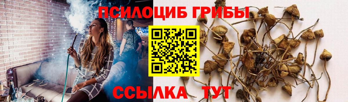 Псилоцибиновые грибы ЛСД  Вход с VPN  Соликамск 
